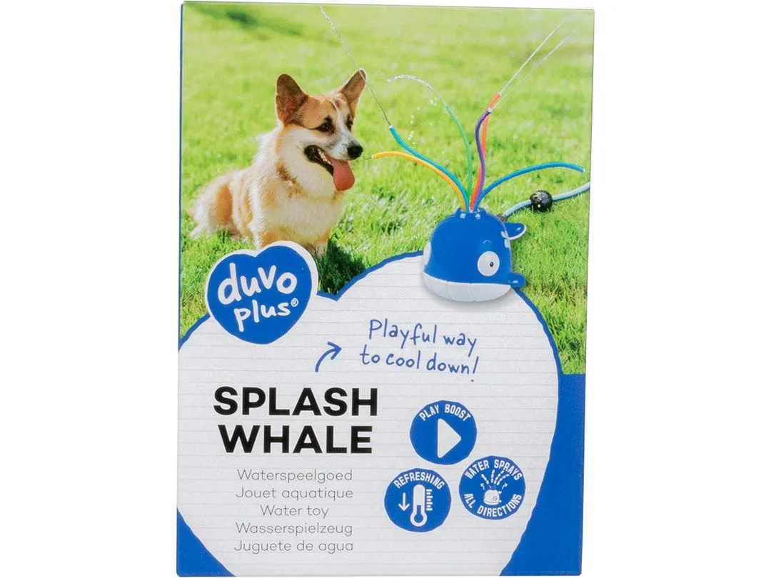 Splash whale 20x14x12cm blue Pets Qatar