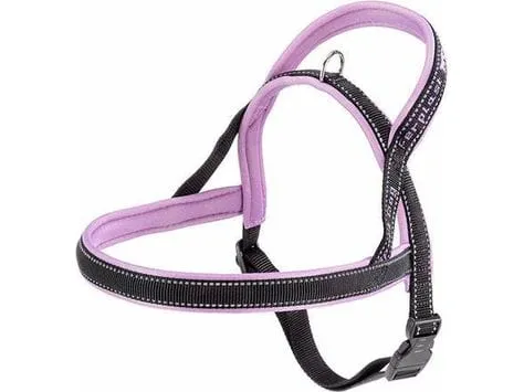 SPORT DOG P L NYLON NORVEGIAN HARNESS Pets Qatar