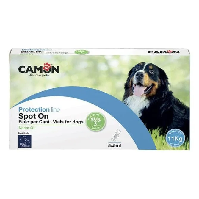 Spoton Dogs (>10Kg)5Via.X5,0Ml Pets Qatar