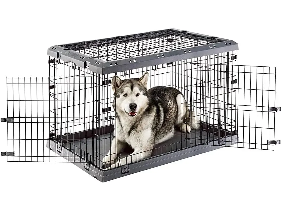 Superior 105 Black Pets Qatar