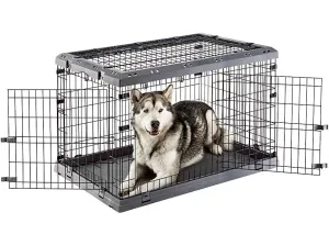 Superior 105 Black Pets Qatar