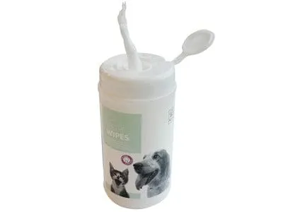 Teeth Wipes 15x15 cm - 40 pcs Pets Qatar