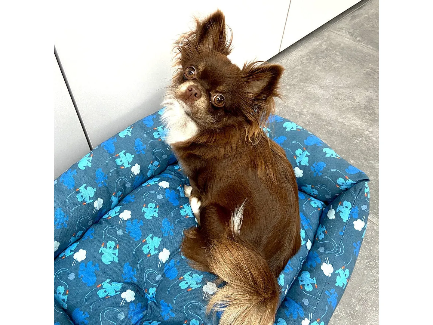 The Smurfs Bed Rectangular Pets Qatar