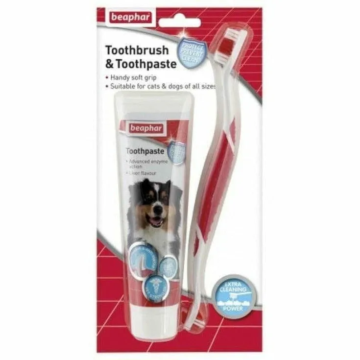 Toothbrush & Toothpaste - Combipack SET Pets Qatar