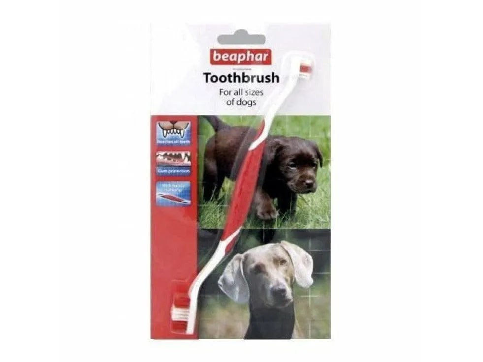 Toothbrush Pets Qatar