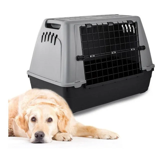 Transportbox Car Baron Pets Qatar