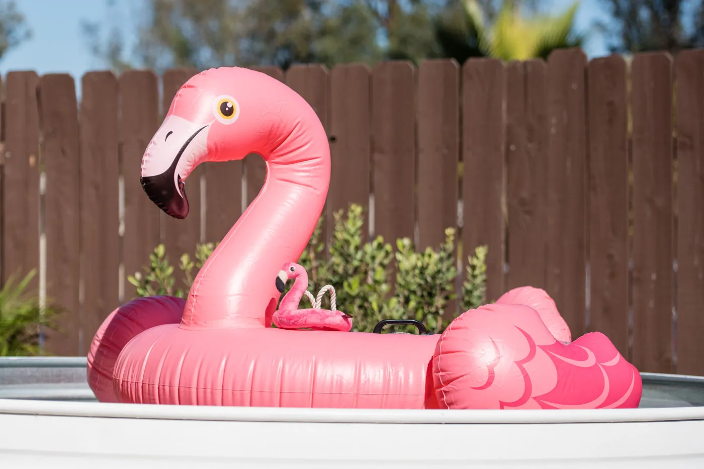Tropical Paradise Flamingo Float