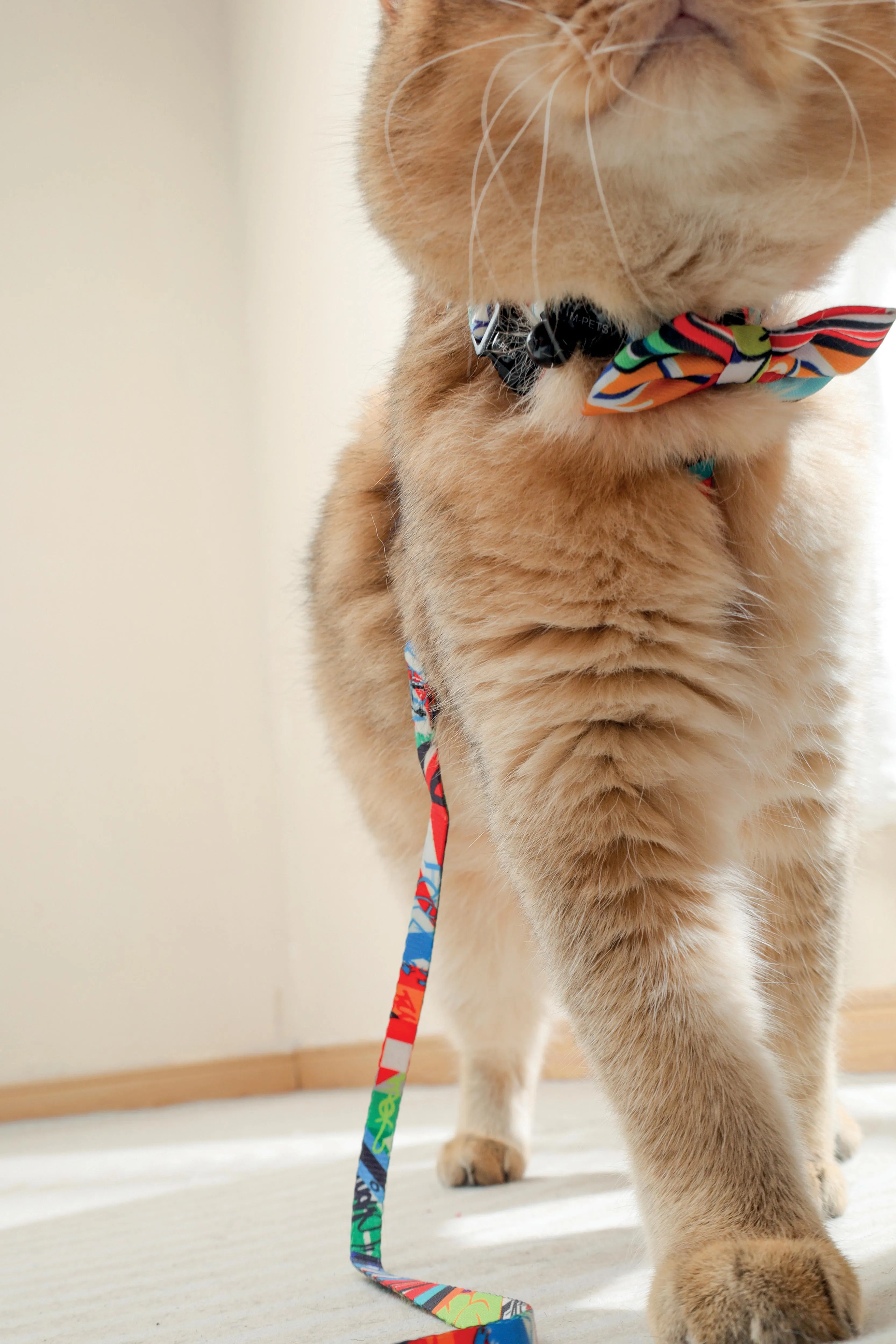URBAN STYLE Freestyle Box Tie