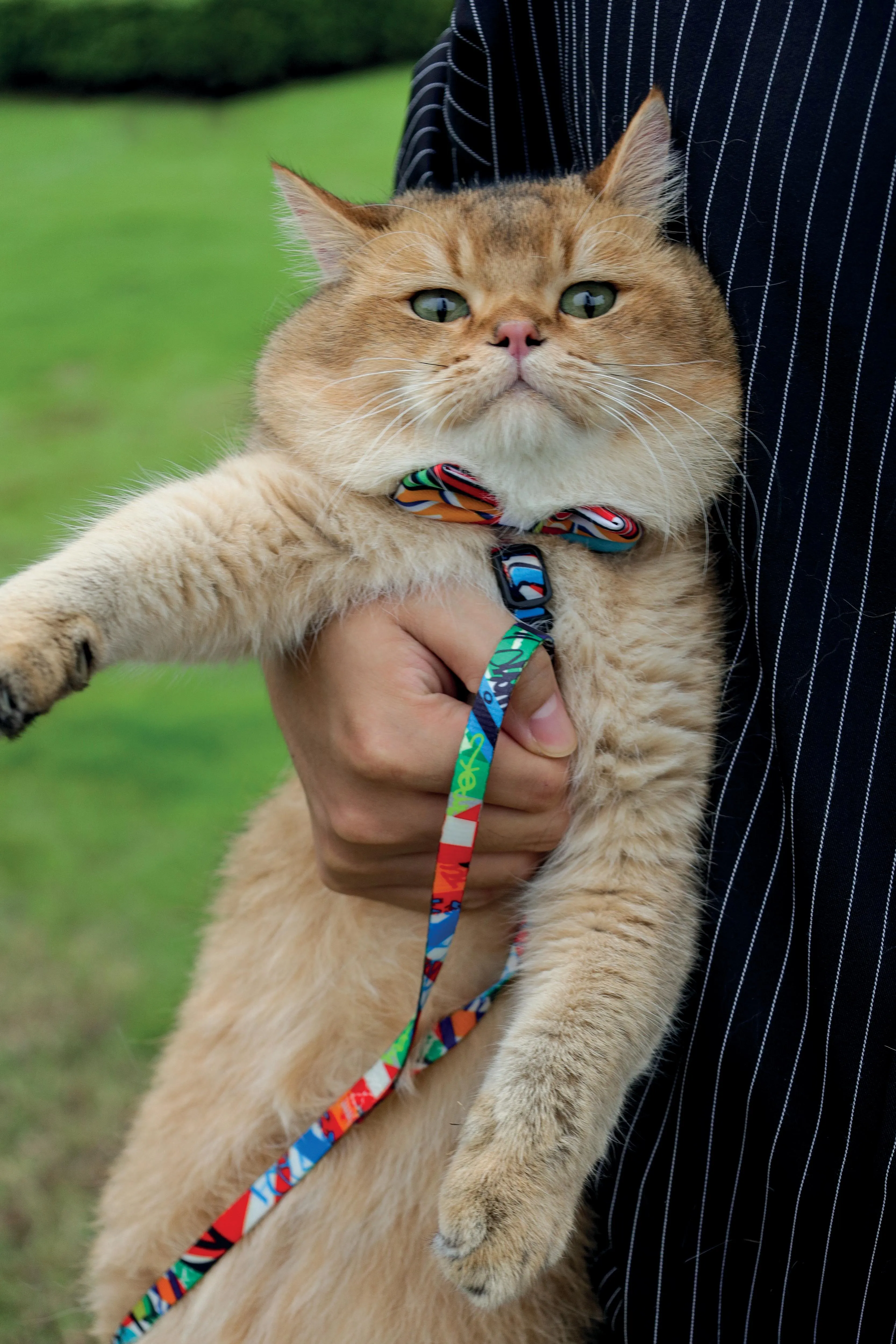 URBAN STYLE Freestyle Box Tie