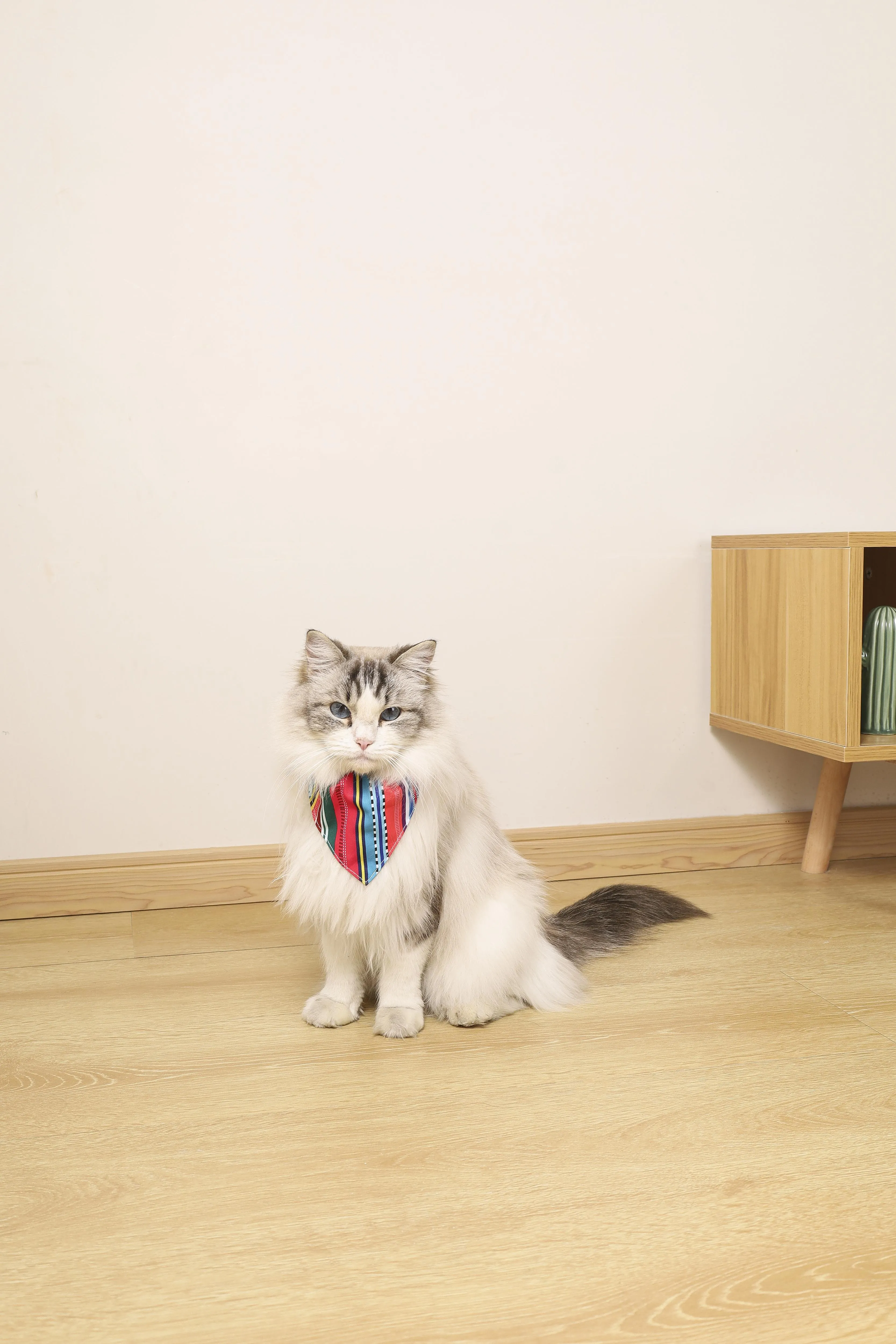 URBAN STYLE Jazz Stripes Bandana Collar