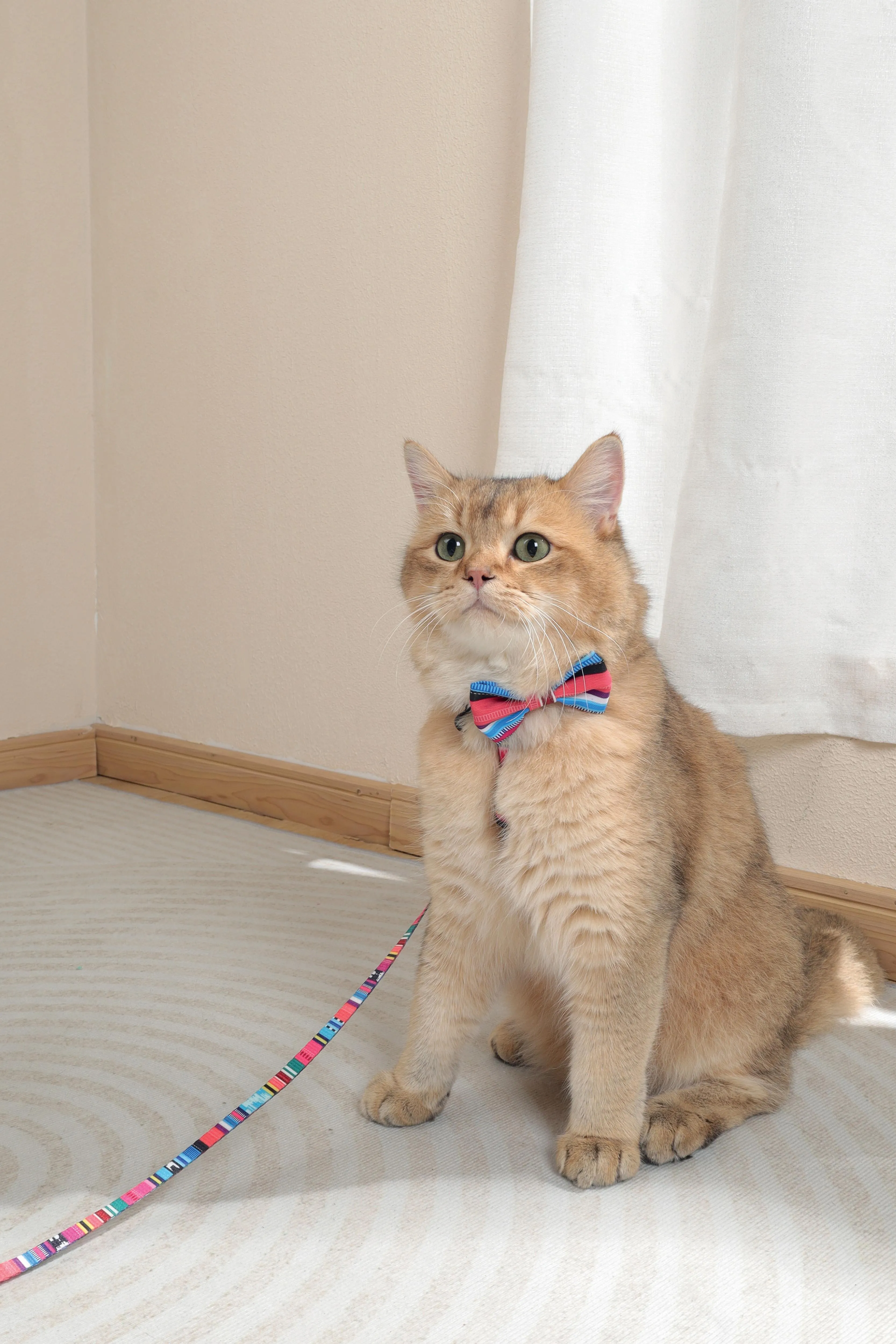 URBAN STYLE Jazz Stripes Bow Tie