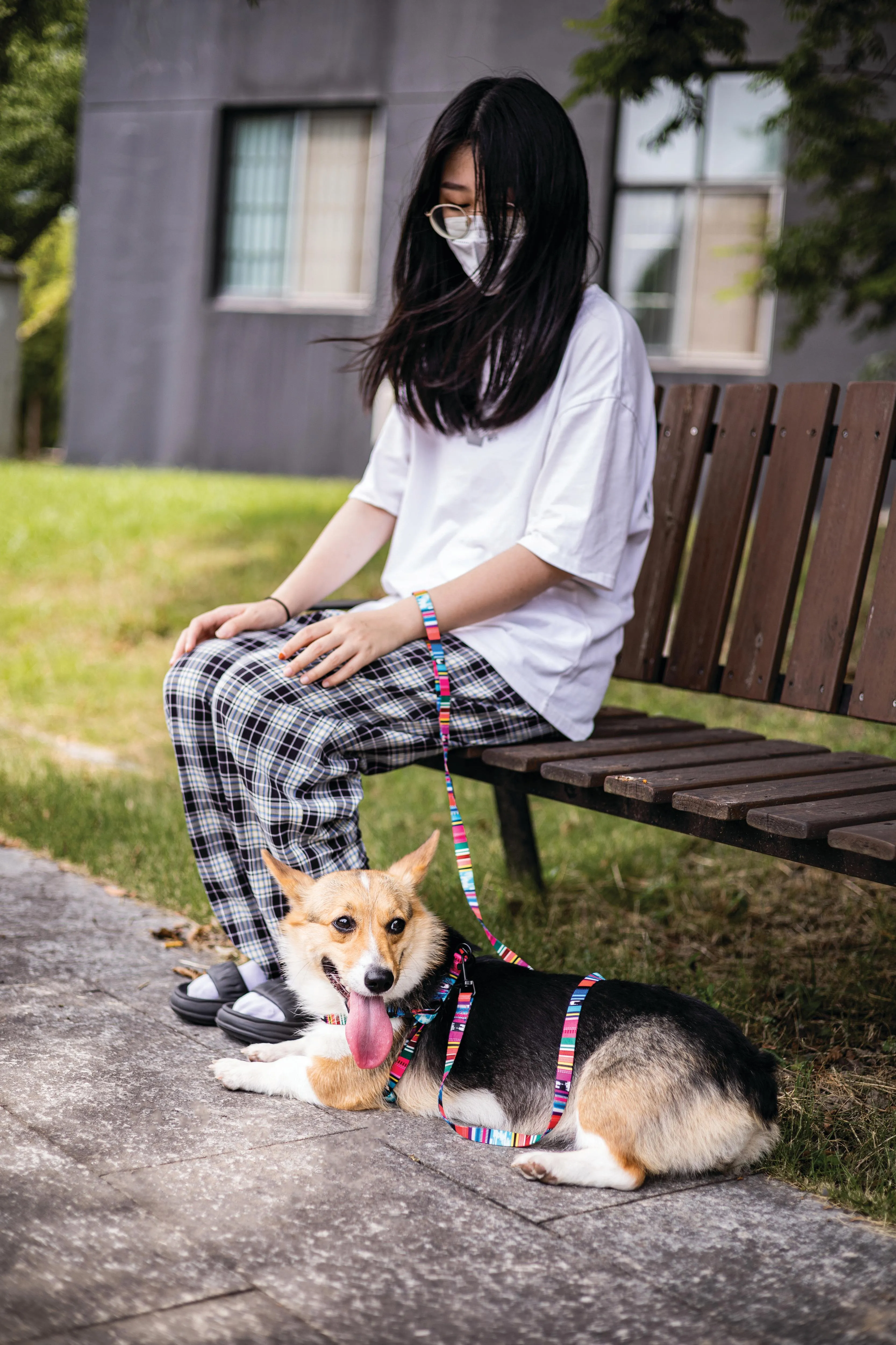 URBAN STYLE Jazz Stripes Leash
