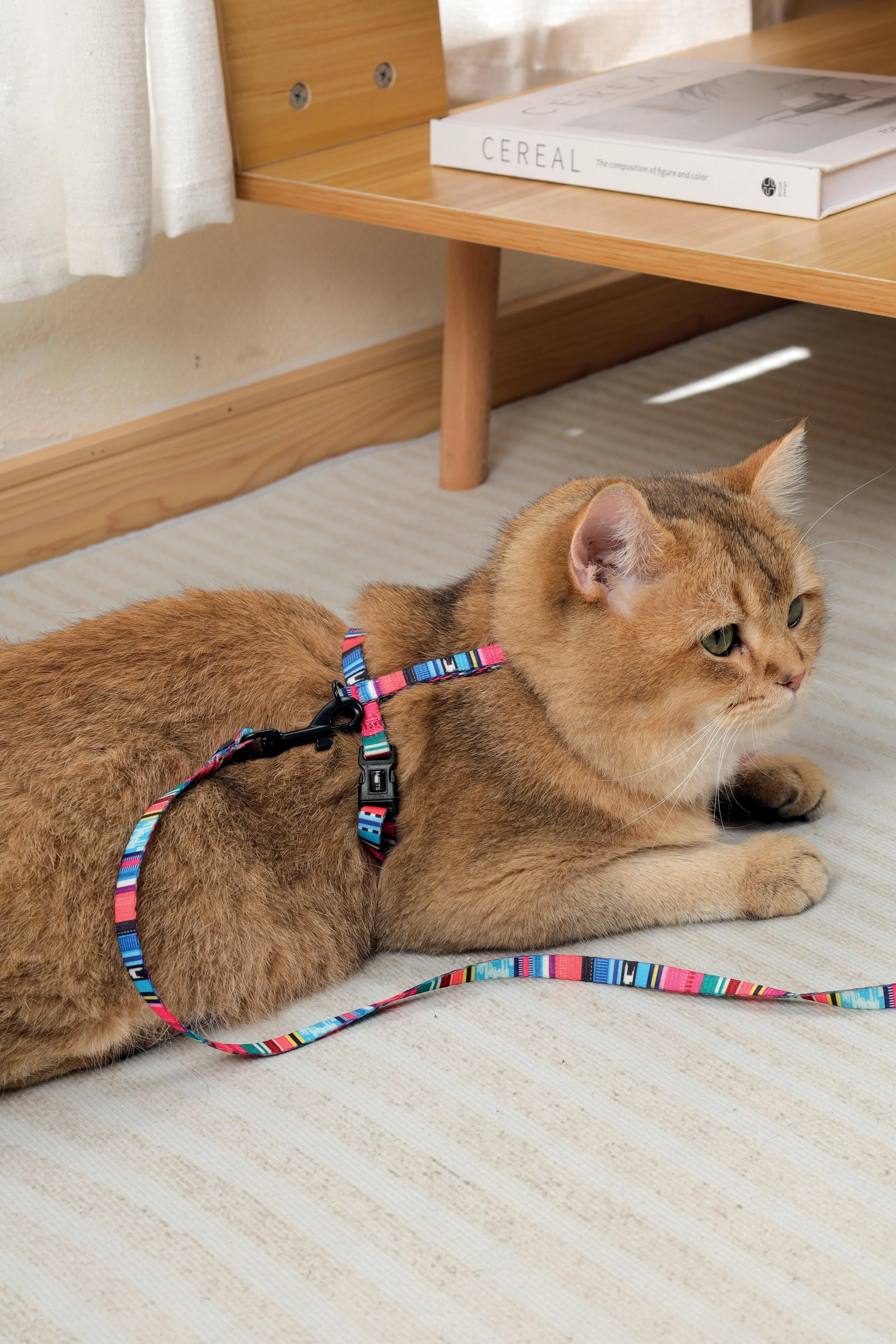 URBANSTYLE Jazz Stripes Cat ECO SET (harness & leash)