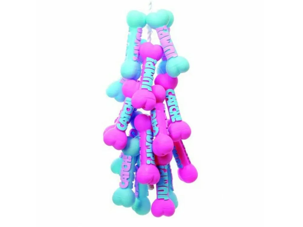 Vinyl Bone Cm23 Pets Qatar