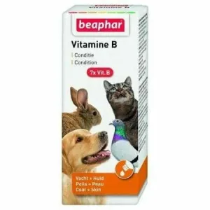 Vitamin B Complex - 50 ml Pets Qatar