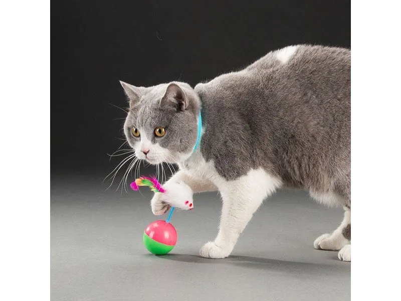 White Mouse Toy Pets Qatar
